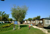 Camping Bungalow Park Las Dunas