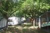 El Pinar Beach Camp