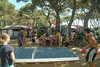El Pinar Beach Camp