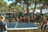 El Pinar Beach Camp