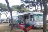 El Pinar Beach Camp