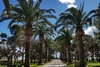 Playa Montroig Camping Resort