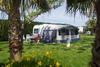 Camping Las Palmeras