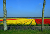 Camping Sint Maartenszee