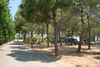 Camping Cala Llevadó ****