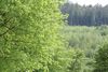 Campingpark Waldsee