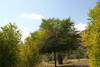 Camping Rural Loma Taivilla