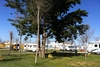 Camping Roche