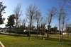 Camping Roche