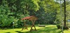 Campingplatz Rehbocktal