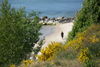 Galløkken Strand Camping