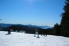 Camping Hochschwarzwald