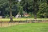 Comfortcamping de Blekkenhorst