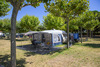 Camping Riembau