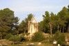 LES MICOCOULIERS