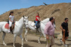 Camping Aranjuez