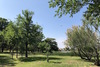 Camping Maite